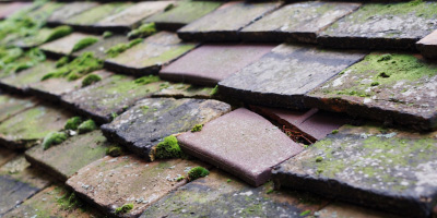 Meidrim roof repair costs